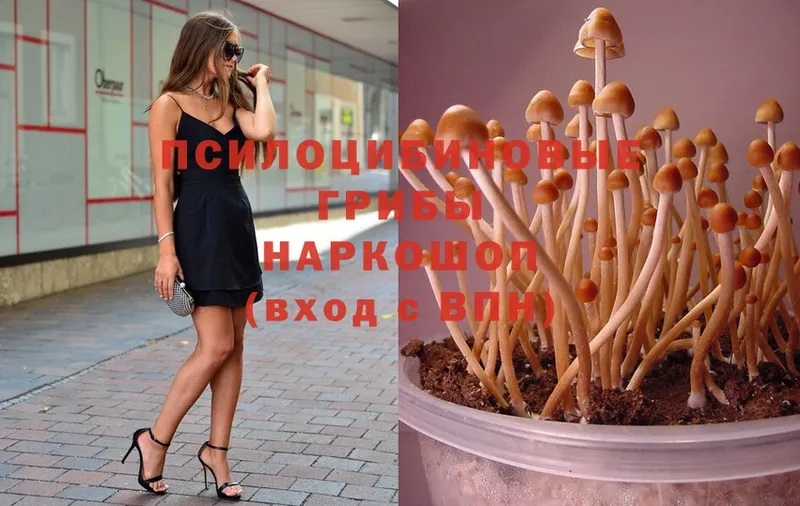 Галлюциногенные грибы MAGIC MUSHROOMS  где продают наркотики  Коряжма 